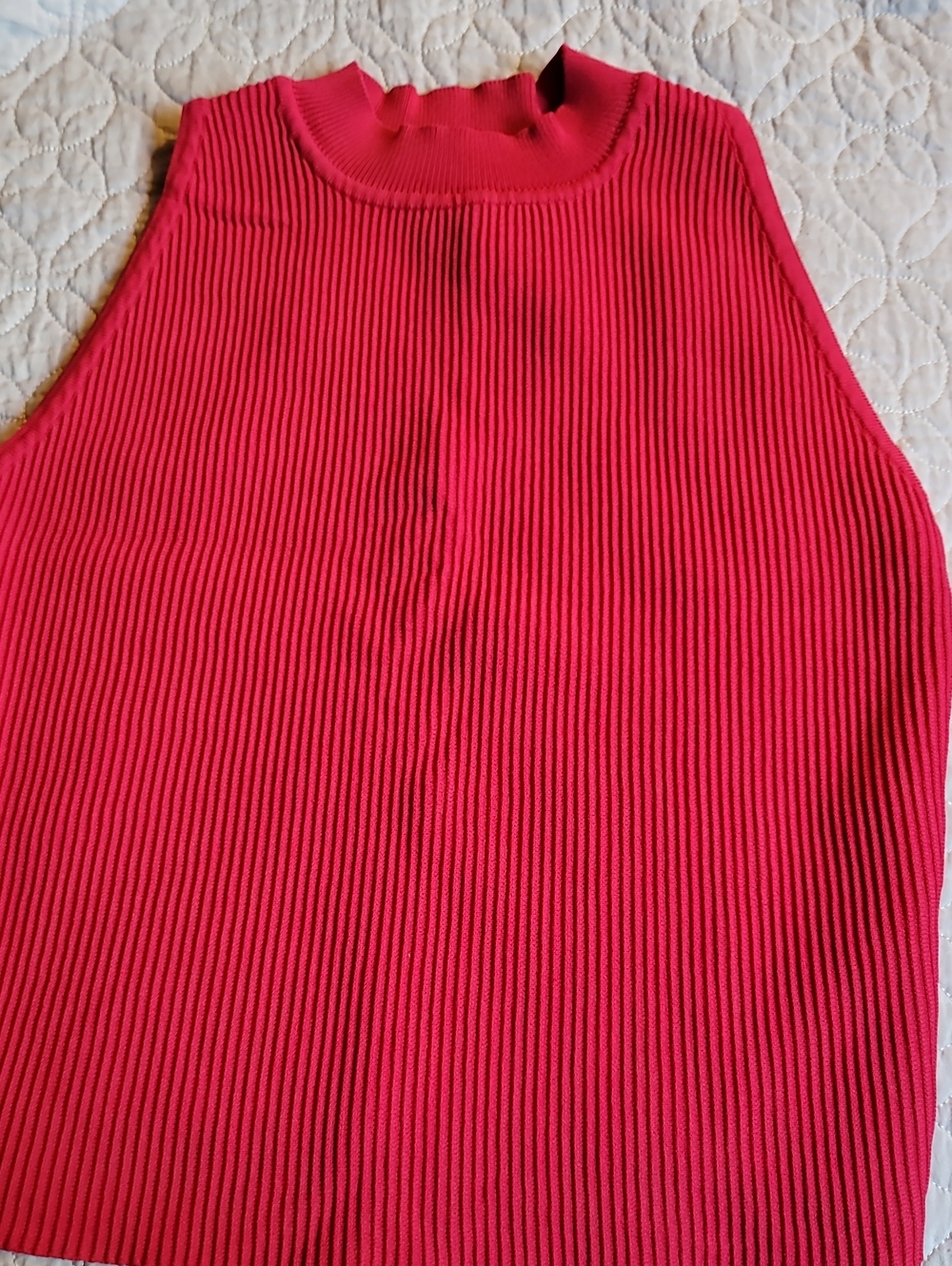 And Now This Red Ribbed Mock Neck Sleeveless Knit Tank Top